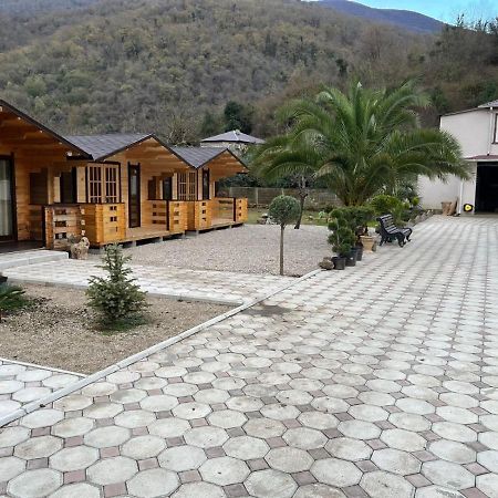 Villa Olginka à Gagra Extérieur photo