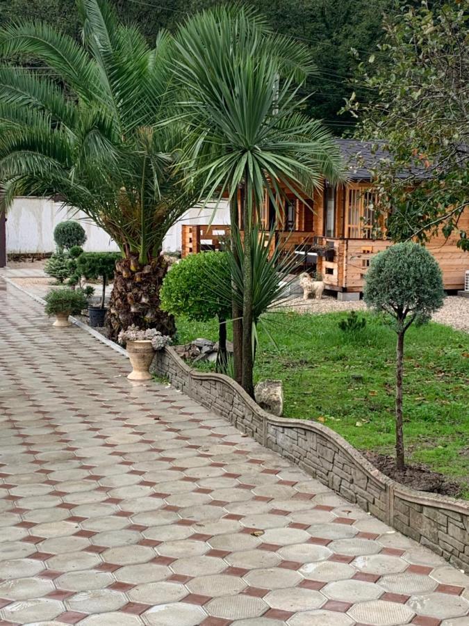 Villa Olginka à Gagra Extérieur photo