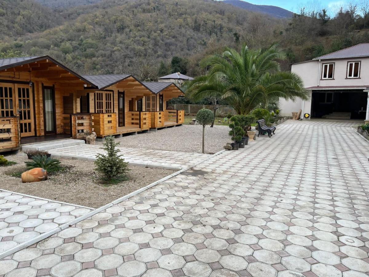 Villa Olginka à Gagra Extérieur photo